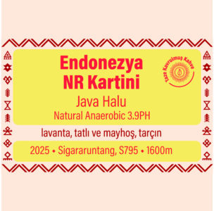 Endonezya NR Kartini Natural Anaerobic 9.3 pH