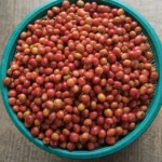 Kolombiya Huila Pink Bourbon | Nitelikli Çekirdek Kahve | Natural Mikro-lot | Rare Series - Görsel 6