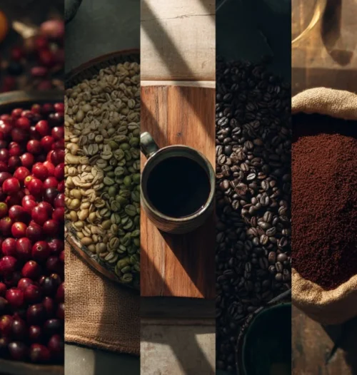 beantocup 2