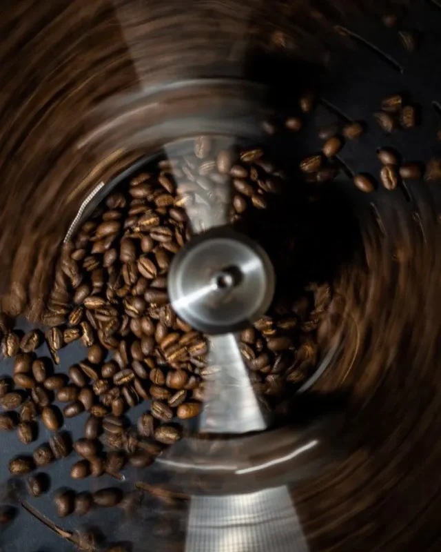 shadyroast